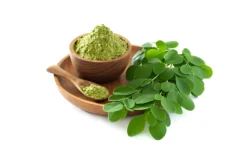 ఆర్గానిక్ మునగ  పౌడర్ యొక్క  ఆరోగ్య ప్రయోజనాలు