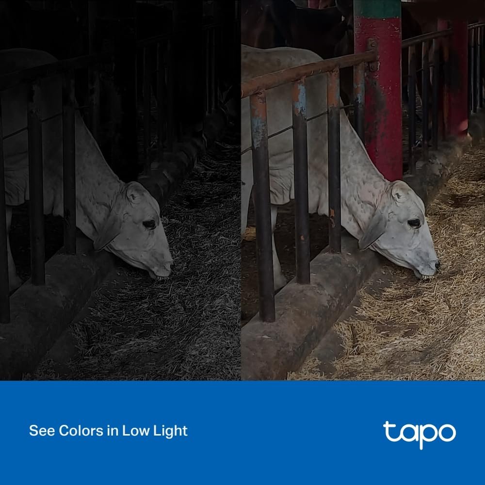 Tapo 4MP 2K QHD (2560X1440) Outdoor CCTV Security Wi-Fi Smart Camera -Alexa Enabled -Weatherproof -Full Color Starlight Night Vision -2-Way Audio -Up to 256 GB SD Storage - C320Ws- White - Image 6