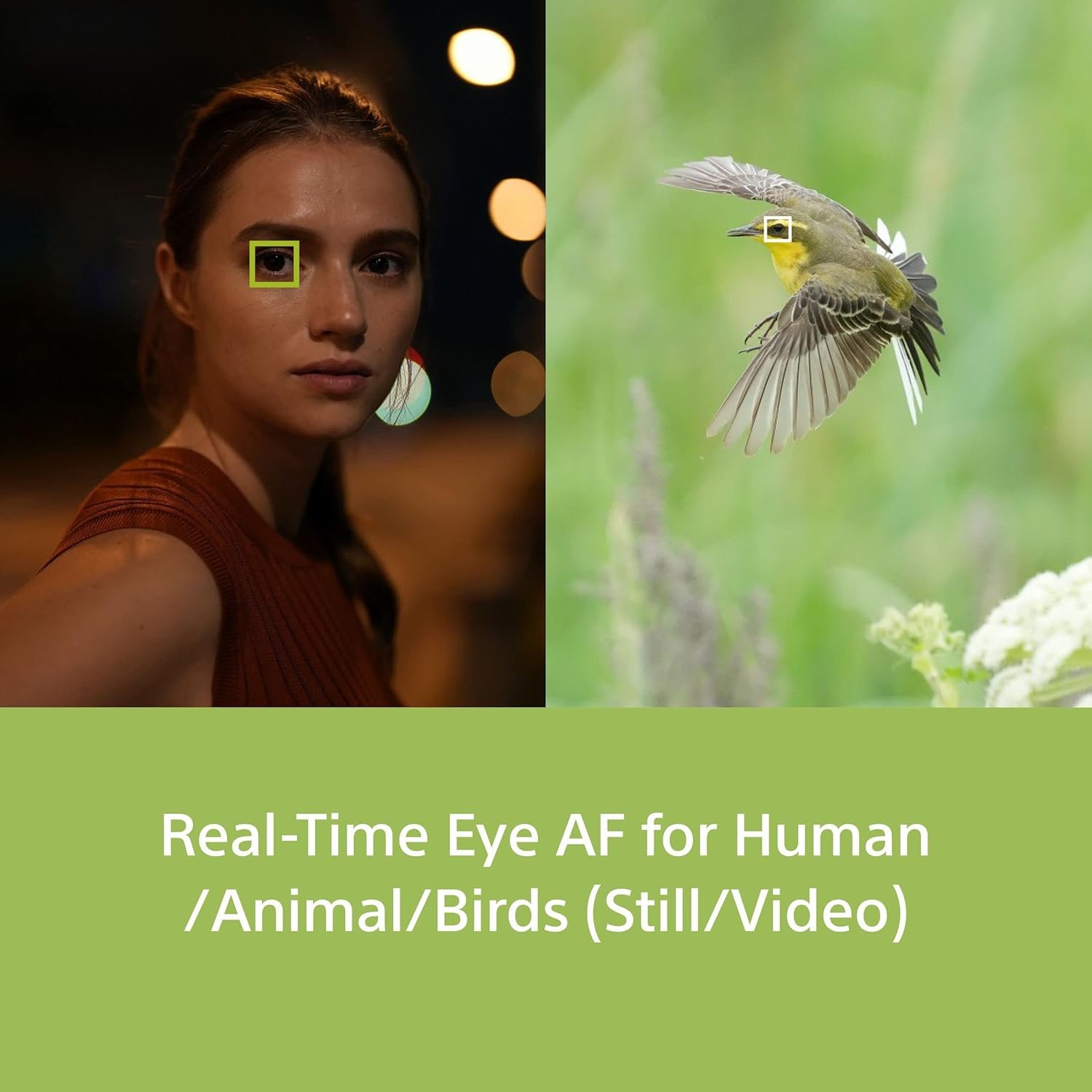 Sony Alpha ILCE-7M4K Full-Frame Hybrid Camera 33MP Interchangeable-Lens Mirrorless Camera with 28-70mm Digital Zoom Lens | 4K 60P Video Recording | Real-Time Eye AF for Humans, Birds, Animals - Black - Image 6