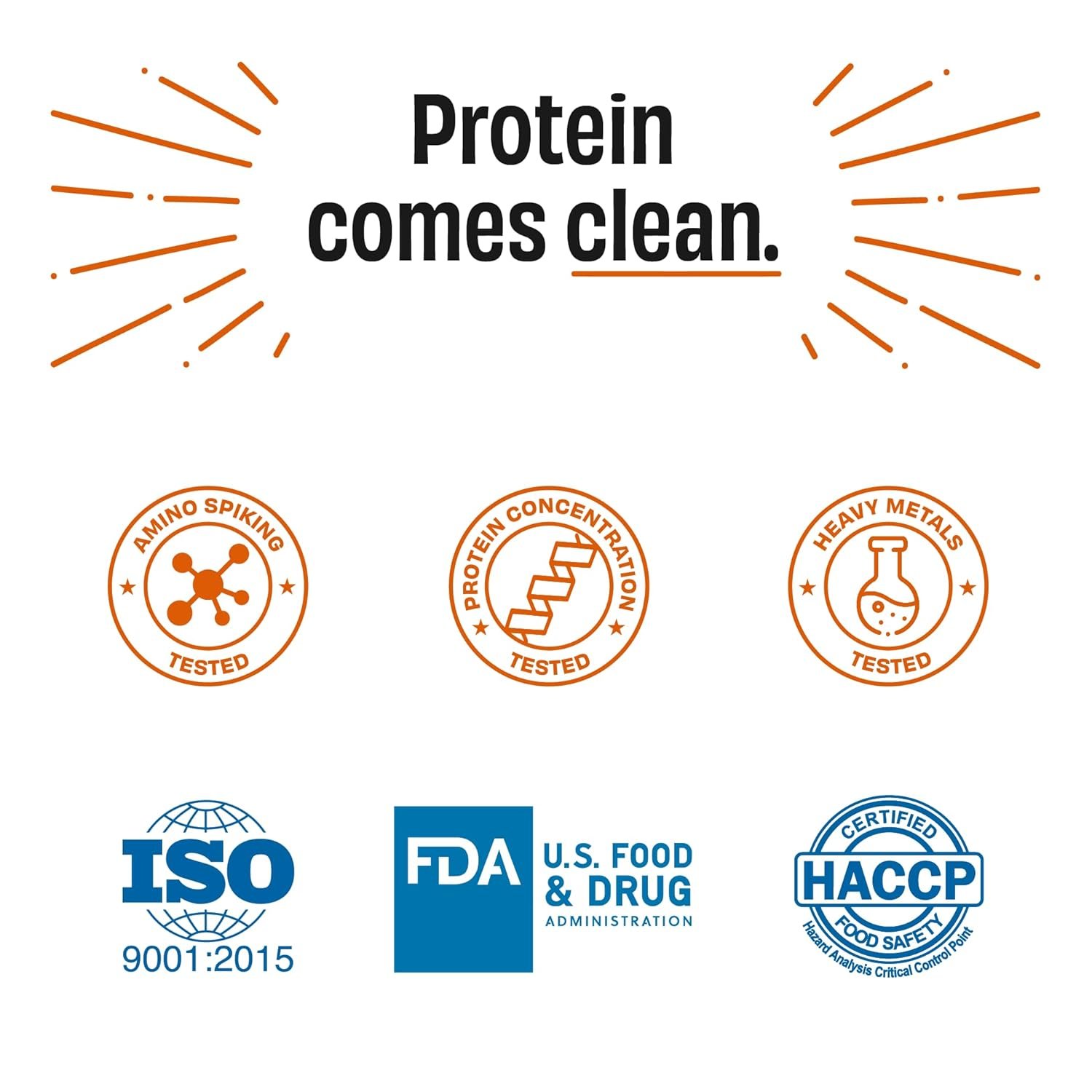 The Whole Truth Whey Protein Isolate+Concentrate | Cold Coffee 2 kg (4.4 lbs) | 24g Protein per scoop | 6.4g BCAA | No Adulteration | Clean, Light & Easy to Digest | Vegetarian - Image 6