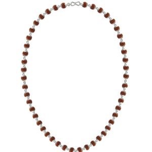 925 BIS Hallmark Silver Original Rudraksha Mala for Men | 5 Mukhi 6MM Size and 54 Rudraksha Beads | Gemmological Lab Certified Ruthratcham Malai for Men