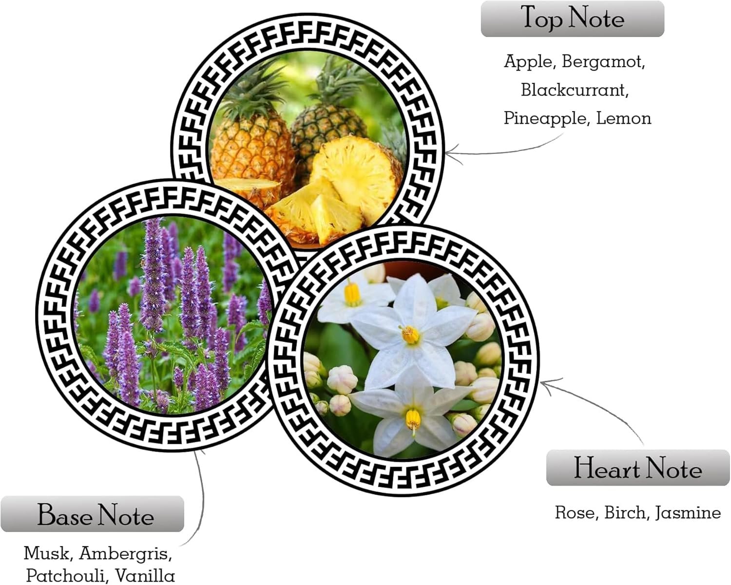 ARMAF Club De Nuit - Image 7